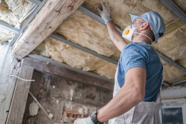 Best Cellulose Insulation in Spruce Pine, NC